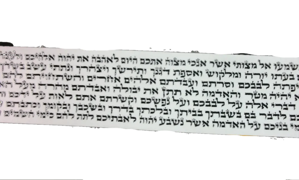 פרשיות תפילין